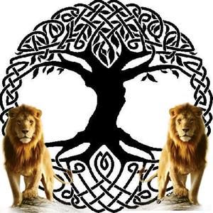 Meet your Posher, Martinaldo